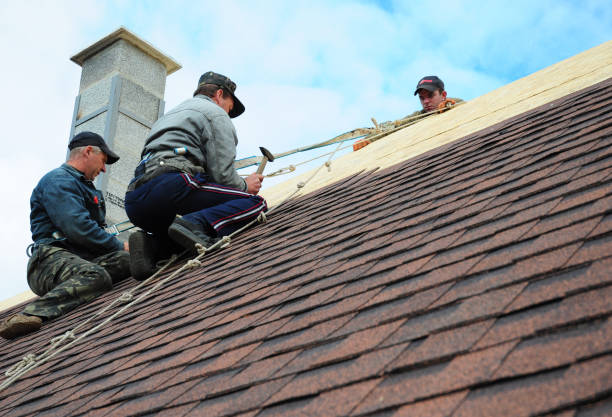 Best Gutter Installation and Roofing  in Bessemer, AL